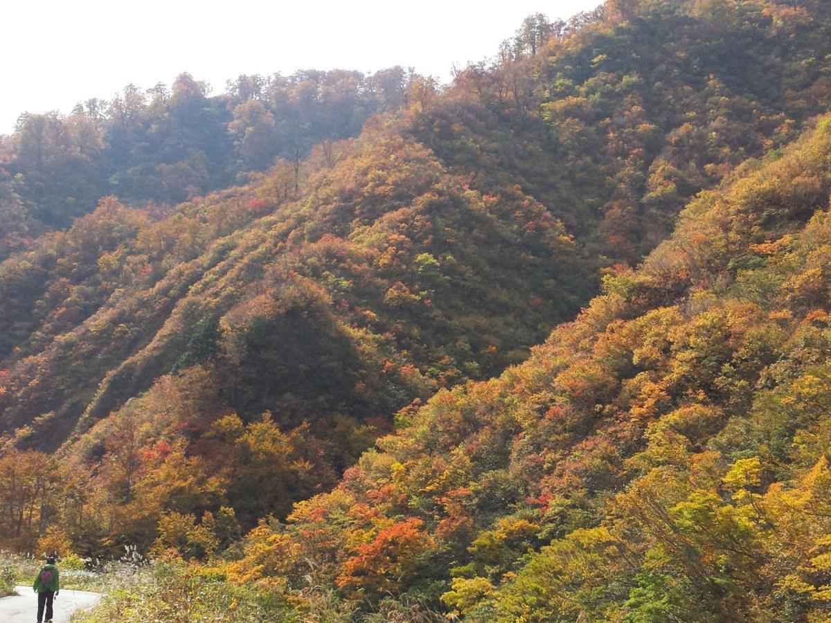 小川温泉元湯　ホテルおがわ 旭市 エクステリア 写真