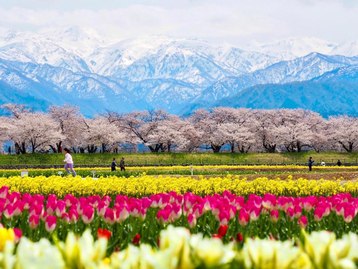 小川温泉元湯　ホテルおがわ 旭市 エクステリア 写真
